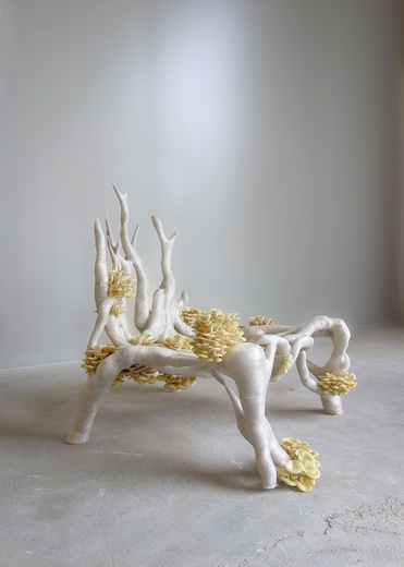 Mycelium Chair  © Eric Klarenbeek, Studio Klarenbeek & Dros
